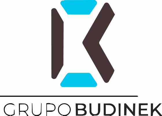 Grupo Budinek